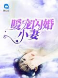 暖宠闪婚小妻